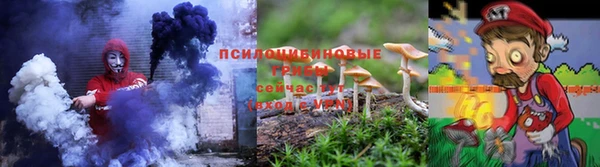 ПСИЛОЦИБИНОВЫЕ ГРИБЫ Володарск