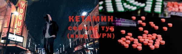 крисы Бородино