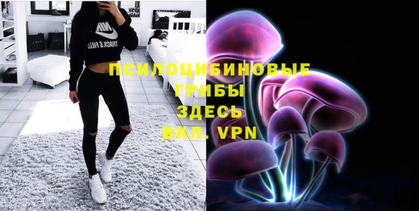 винт Бугульма
