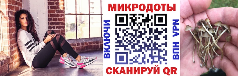 Купить Минусинск Галлюциногенные грибы ЛСД